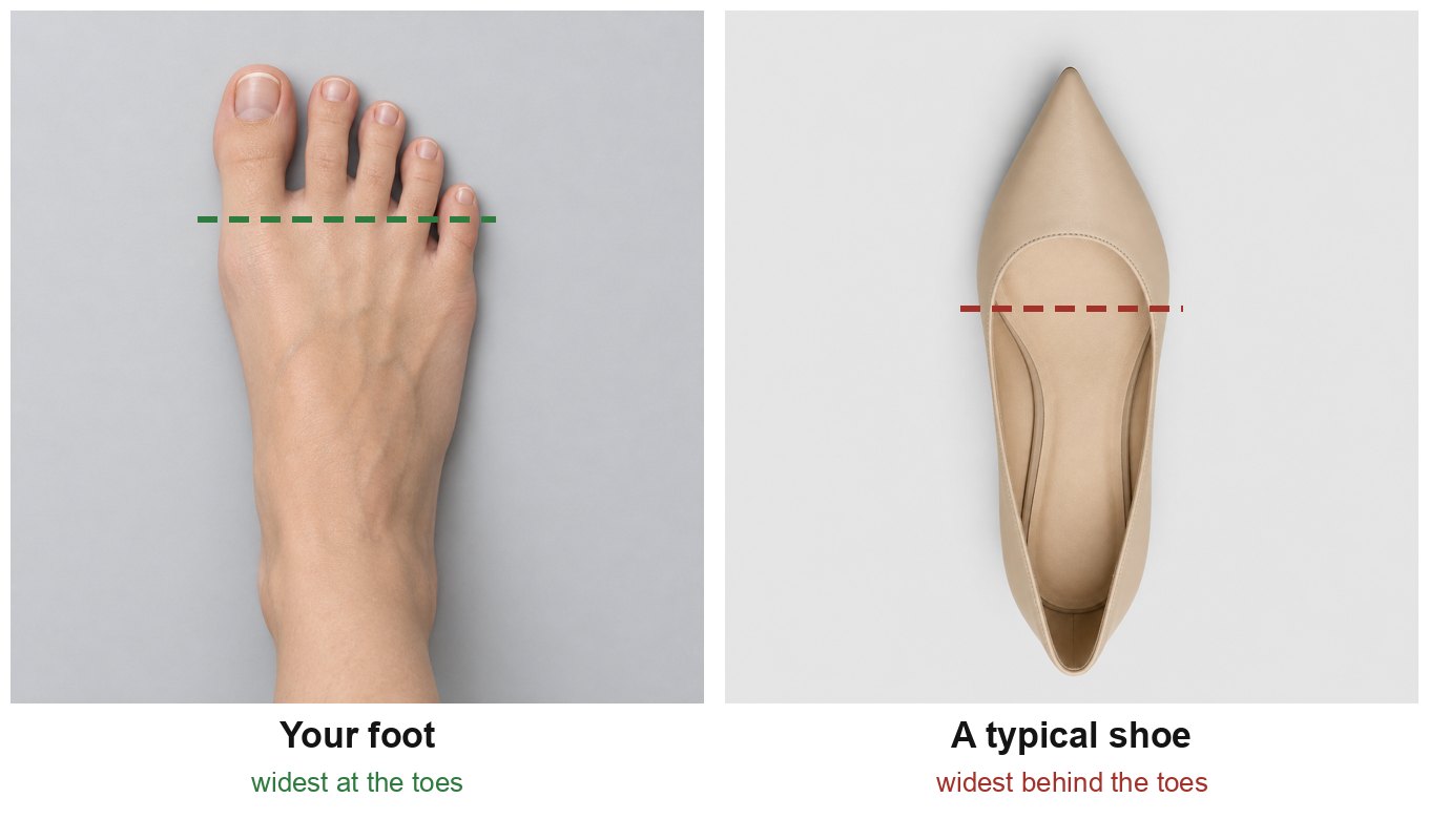 A bare foot is widest at the toes; a typical pointed shoe is widest behind them